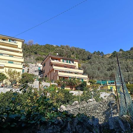 Chez Diego With Ac And Garden Monterosso al Mare Exteriér fotografie